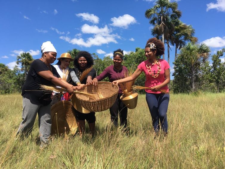 A equipe do Amazônia legal acompanha a coleta de Capim Dourado