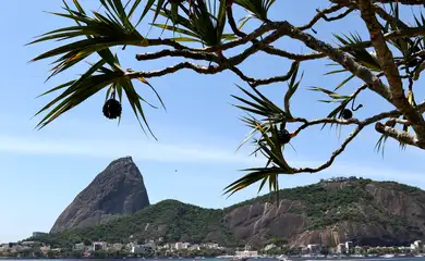  O Parque Bondinho do Pão de Açúcar completa hoje(27) 110 anos.