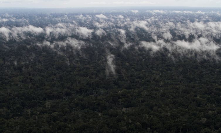 Vista aérea mostra a floresta amazônica perto da cidade de Santarém (PA)