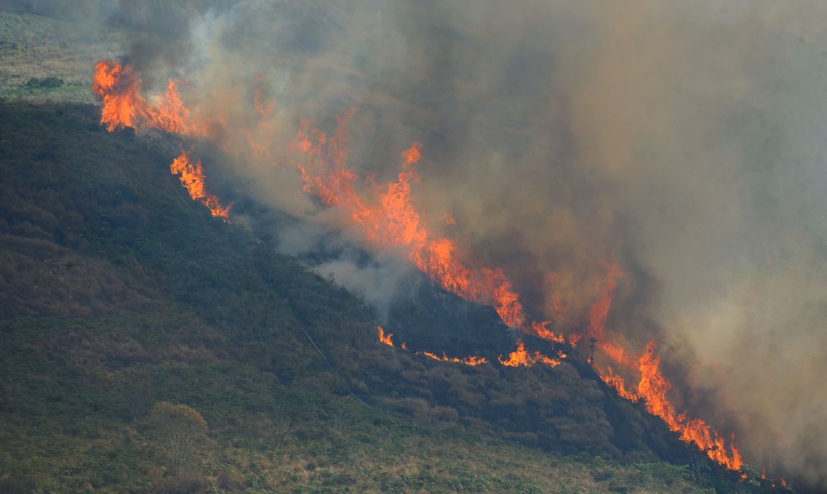 Uma sucessão de incêndios florestais de grandes proporções se alastram na Região Serrana.  Mata em chamas em Itaipava (Fernando Frazão/Agência Brasil)