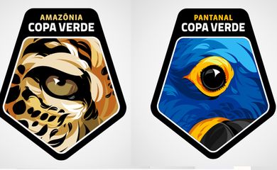 Finalistas da Copa Verde homenageiam onça-pintada e arara-azul
Patchs a serem usados por Remo e Brasiliense farão alusão às espécies