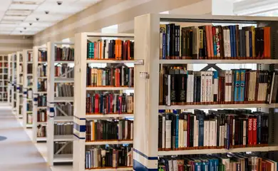 Biblioteca, Livros, Estantes de livros. Foto: jarmoluk/PixaBay