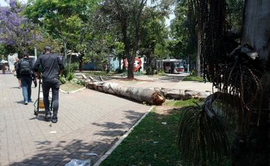 São Paulo (SP), 17/10/2024 - Praça Salim Farah Maluf, bairro de Santo Amaro em São Paulo, que foi afetado pela falta de energia devido as chuvas na capital. Foto: Paulo Pinto/Agência Brasil