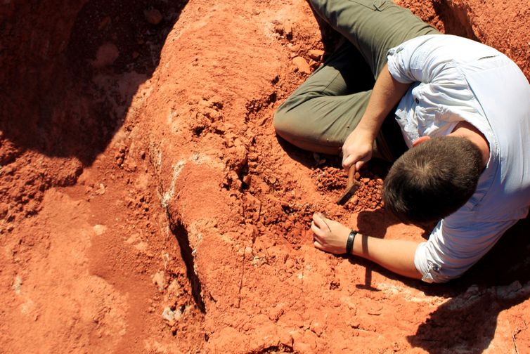 Descoberta de fóssil precursor dos pterossauros. Fotos do local da escavação - Buriol Site (São João do Polêsine, Brazil). Foto: Janaína Brand Dillmann