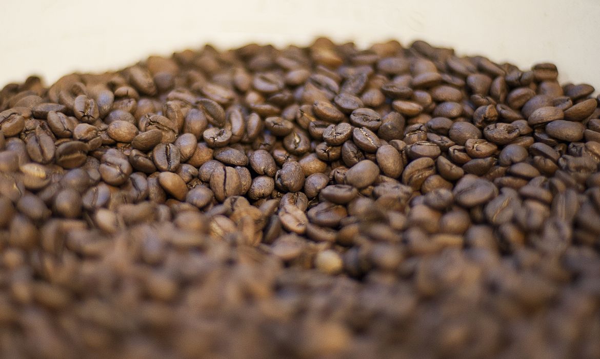 Pequenas torrefações preparam grãos especiais de café