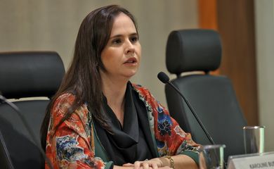 Brasília (DF), 21/11/2024 - A consultora jurídica do Ministério da Gestão e da Inovação em Serviços Públicos -MGI, Karoline Busatto durante coletiva de imprensa para apresentar o novo cronograma do Concurso Público Nacional Unificado (CPNU) e pontos relacionados ao Termo de Acordo Judicial firmado. Foto: José Cruz/Agência Brasil