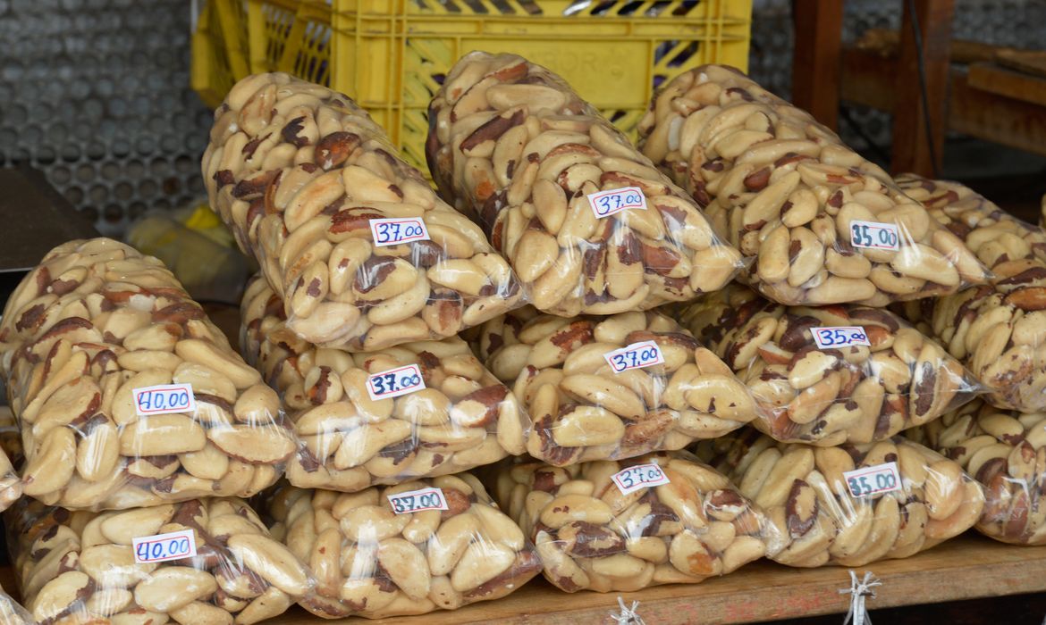 09 14:30:24 Belém - Cartão-postal da cidade, o mercado Ver-o-Peso oferece os mais variados sabores e aromas do Pará. A imensa feira livre às margens da baía do Guajará reúne centenas de barracas(Wilson Dias/Agência Brasil)