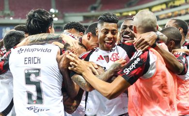 flamengo, sport, brasileiro