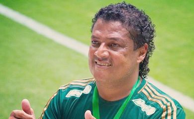 Tonhão - Palmeiras