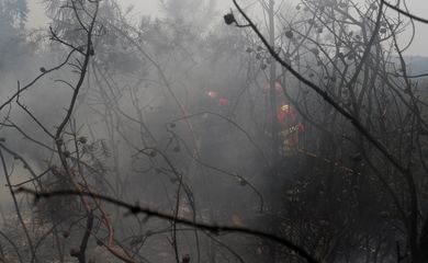 Bombeiros trabalham em incêndio florestal em Portugal