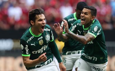 Palmeiras vence Flamengo pela Copa do Brasil