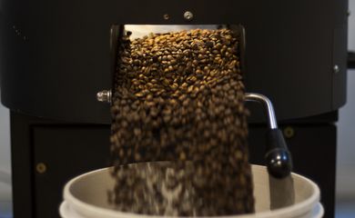 Pequenas torrefações preparam grãos especiais de café