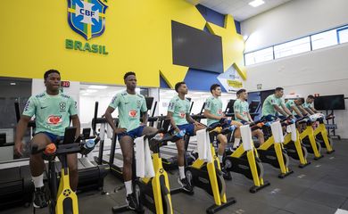 seleção brasileira, treino, granja comary