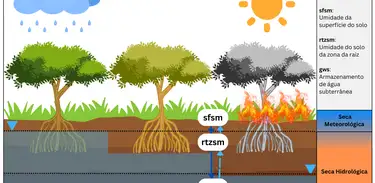 Estudo mostra  Impacto que o El Niño  pode trazer, com a seca, em águas subterrâneas na Amazônia