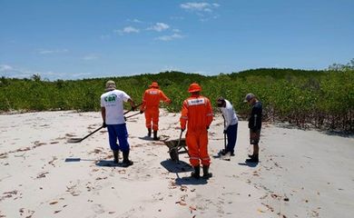  Petrobras resíduos de óleo praias do Nordeste