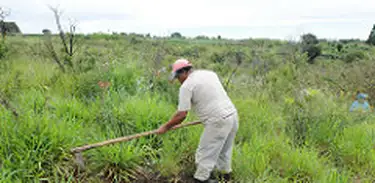 Produtor rural 