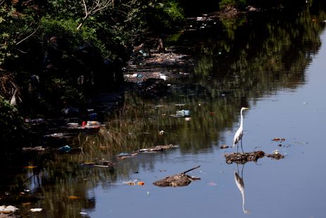 Rio de Janeiro (RJ), 29/08/2024 - Rio Faria-Timbó, na comunidade de Manguinhos, zona norte da cidade. Um esgoto a céu aberto. Foto: Tânia Rêgo/Agência Brasil