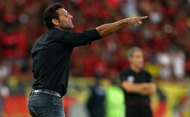 Alberto Valentim, Flamengo, Botafogo, técnico