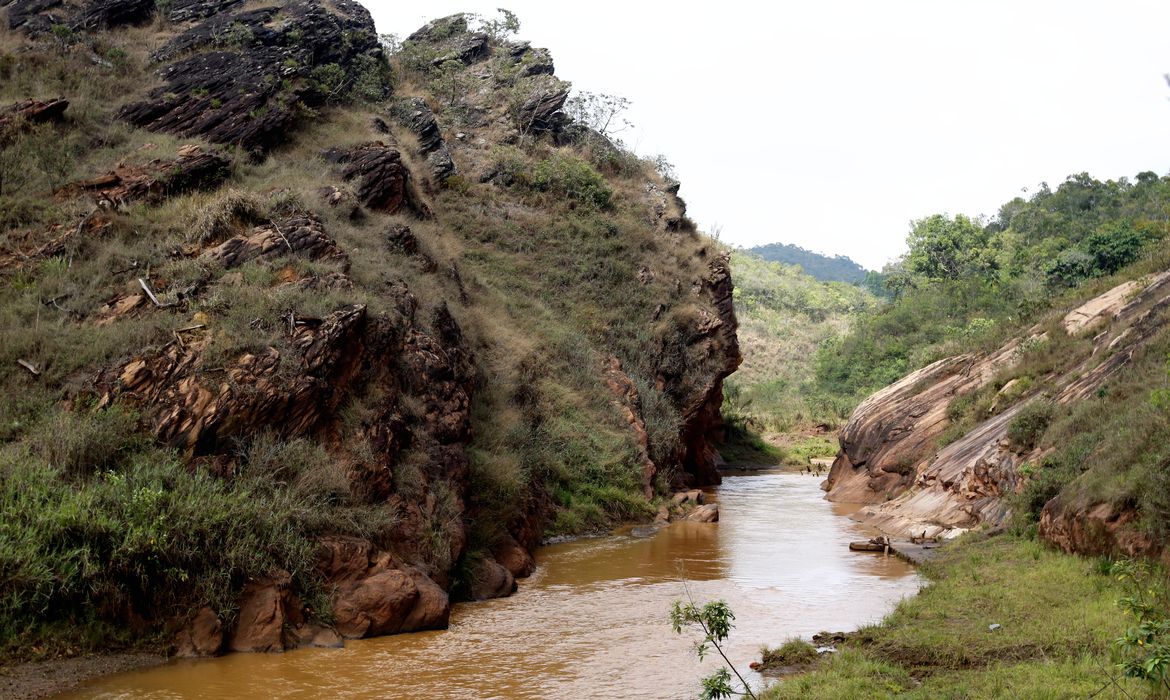  Experimento de restauração florestal em área sob influência de rejeitos da barragem de Fundão, trecho do rio Gualaxo do Norte, um dos principais afluentes do rio Doce, que abrange os municípios de Mariana, Ouro Preto e Barra Longa