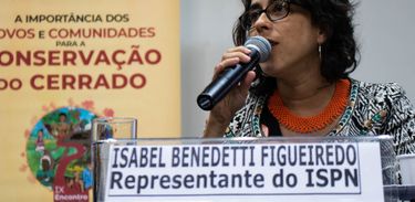 Isabel Figueiredo, coordenadora do programa cerrado ISPN