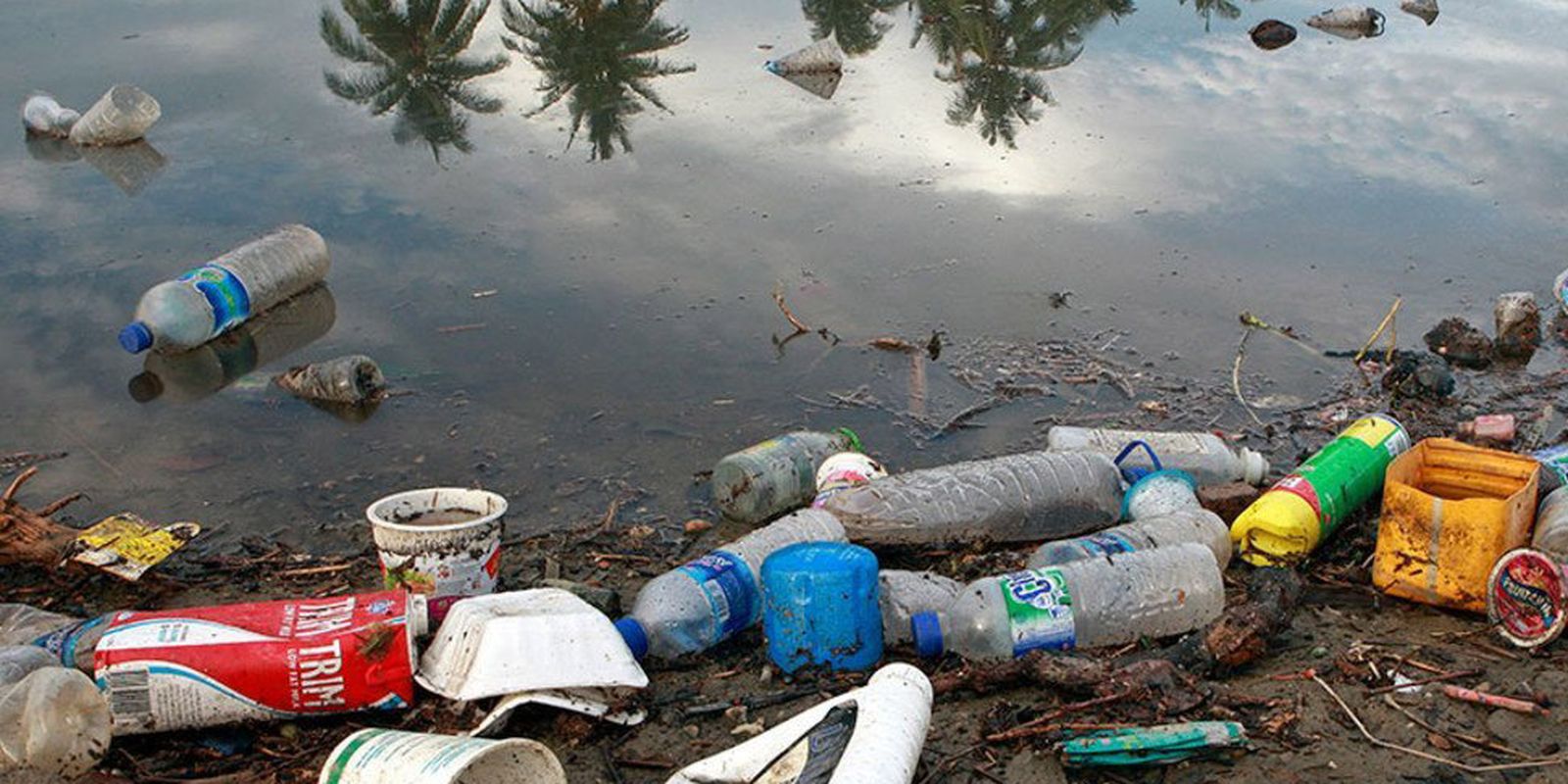 Impactos do microplástico são graves e afetam o ambiente e as pessoas Impactos do microplástico são graves e afetam o ambiente e as pessoas