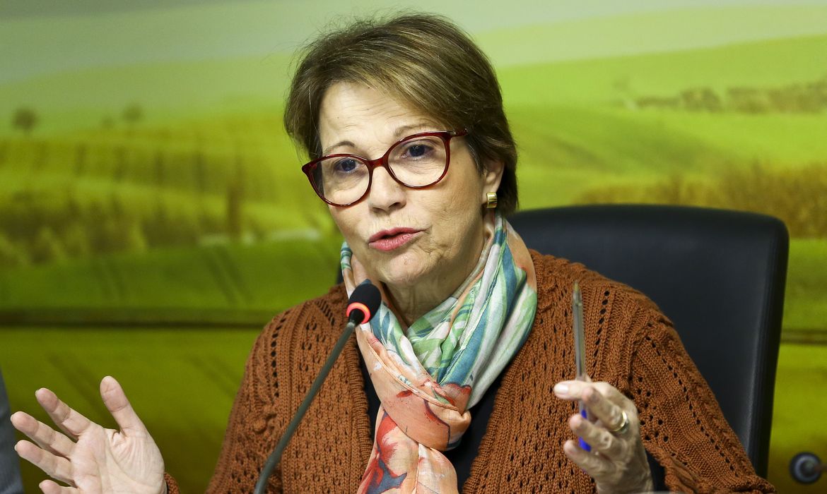  A ministra da Agricultura, Pecuária e Abastecimento, Tereza Cristina, durante café da manhã com jornalistas para esclarecer as novas regras para o uso de agrotóxicos no Brasil. 