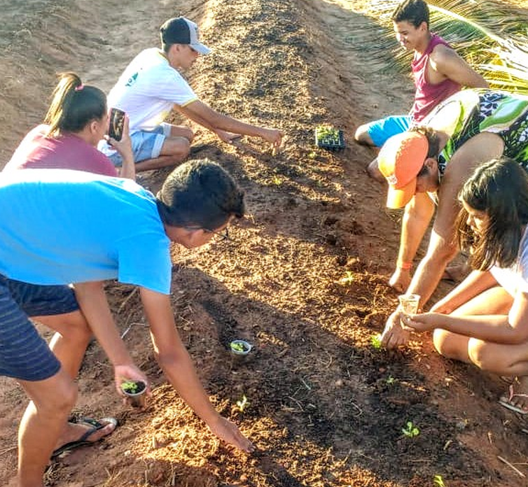 Juventude Sem Terra plantando árvores, produzindo alimentos saudáveis