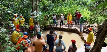 Produtores baianos recuperam primeira nascente de rio em São Desidério, no oeste da Bahia