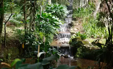 Rio de Janeiro (RJ), 21/03/2025 - O Jardim Botânico do Rio de Janeiro possui um dos sistemas de abastecimento e escoamento de água mais antigos do país. As canaletas, que conduzem as águas do Rio dos Macacos até áreas urbanas da cidade, datam dos anos 1820 e são usadas até os dias de hoje. Foto: Tânia Rêgo/Agência Brasil