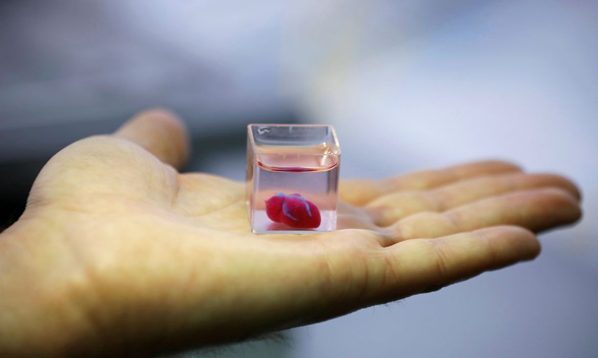 Um copo transparente contendo o que os cientistas israelenses da Universidade de Tel Aviv dizem ser o primeiro coração vascularizado impresso em 3D e vascularizado do mundo