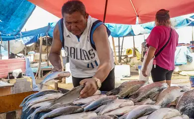Manaus (AM), 20/11/2023, Marcos César Antonio, o Marcos do Pescado, comerciante, vende
peixes na região do Porto de Manaus. Manaus sofrre com a maior seca em 121 anos. Foto: Rafa Neddermeyer/Agência Brasil