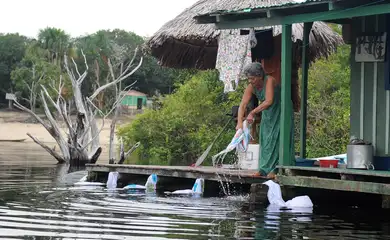 A socióloga Olga D´Arc Pimentel saiu da cidade grande e largou tudo para viver às margens do Rio Negro, como uma ribeirinha  (Tomaz Silva/Agência Brasil)