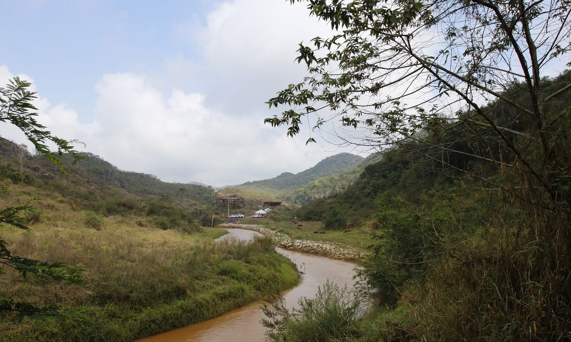  Experimento de restauração florestal em área sob influência de rejeitos da barragem de Fundão, trecho do rio Gualaxo do Norte, um dos principais afluentes do rio Doce, que abrange os municípios de Mariana, Ouro Preto e Barra Longa