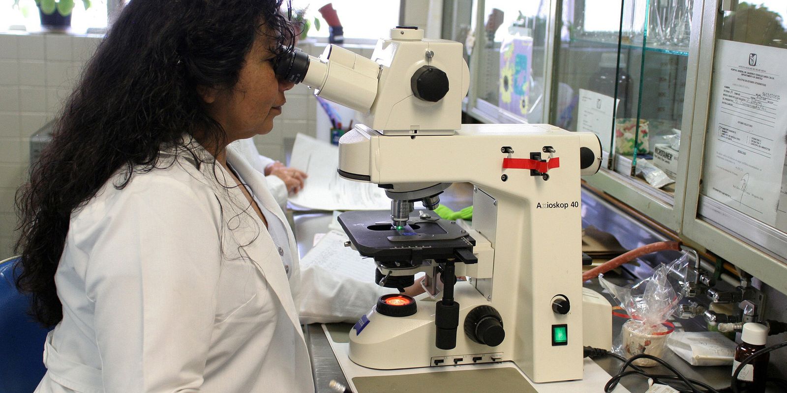 Prêmio chama atenção para desafios enfrentados por mulheres cientistas