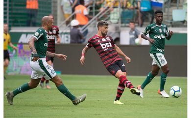 flamengo, palmeiras, brasileiro