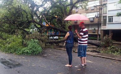 Porto Alegre - Pelo menos 30 ruas da capital gaúcha continuavam bloqueadas até o fim da manhã desta terça-feira (2), por causa de árvores caídas no temporal de sexta-feira passada (Daniel Isaia/Agência Brasil)