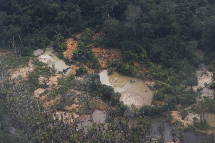 Alto Alegre (RR), 09/02/2023 - Áreas de garimpo ilegal na Terra Indígena Yanomami vistas em sobrevoo ao longo do rio Mucajaí. Foto: Fernando Frazão/Agência Brasil