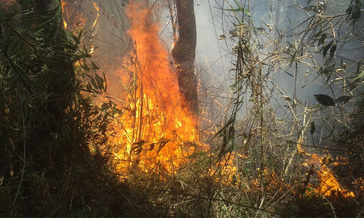 Incêndio no Parque Nacional da Serra dos Órgãos (Divulgação/Parnaso)