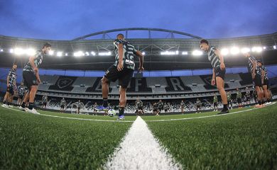 grama sintética  - Botafogo - Estádio Nilton Santos - gramado - tapetinho