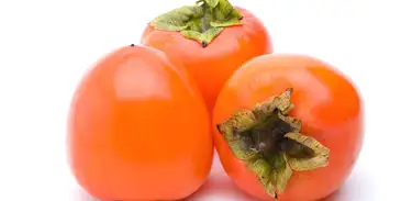 Caqui