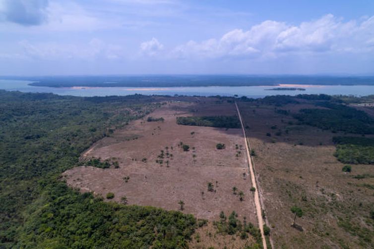 Saiba como pequenos produtores conciliam produção agrícola com conservação