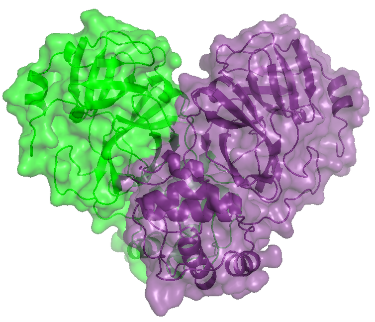 Imagem em 3D de proteína do novo coronavírus obtida no Sirius. - Divulgação/CNPEM.
