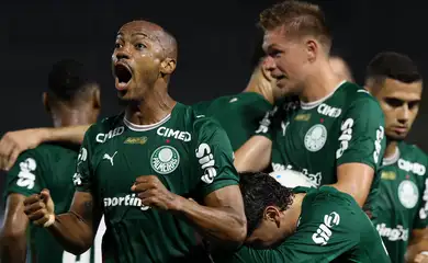 palmeiras, grêmio, brasileiro