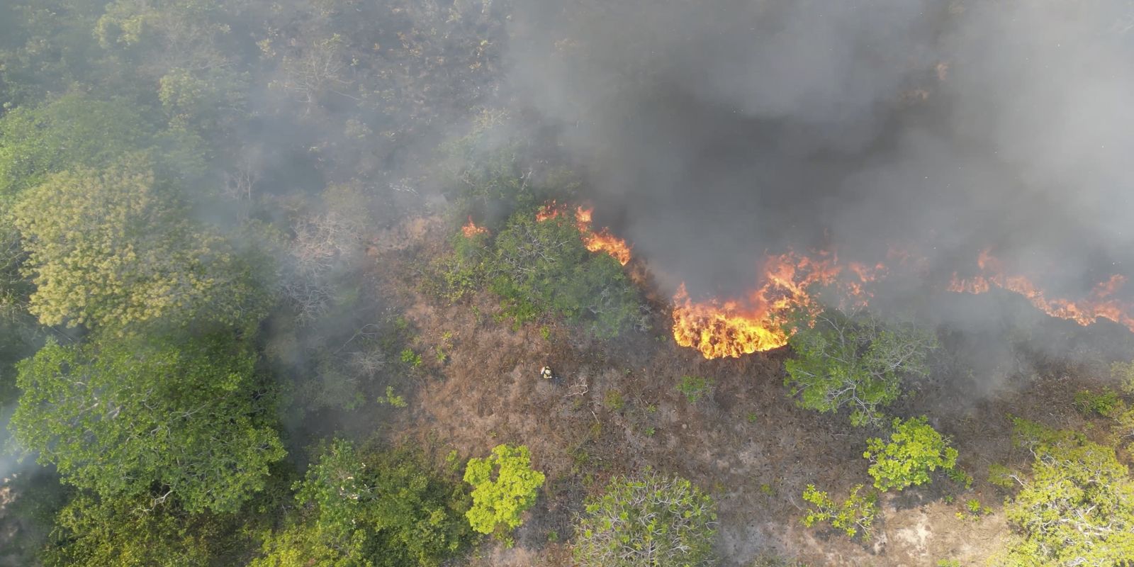 Governo lança campanha de prevenção a incêndios florestais na Amazônia