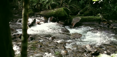 Conheça a beleza dos rios da Serra da Mantiqueira