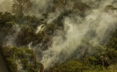 Corumbá (MS), 30/06/2024 - Imagens aéreas mostram áreas devastadas pelo fogo no Pantanal. Foto: Marcelo Camargo/Agência Brasil