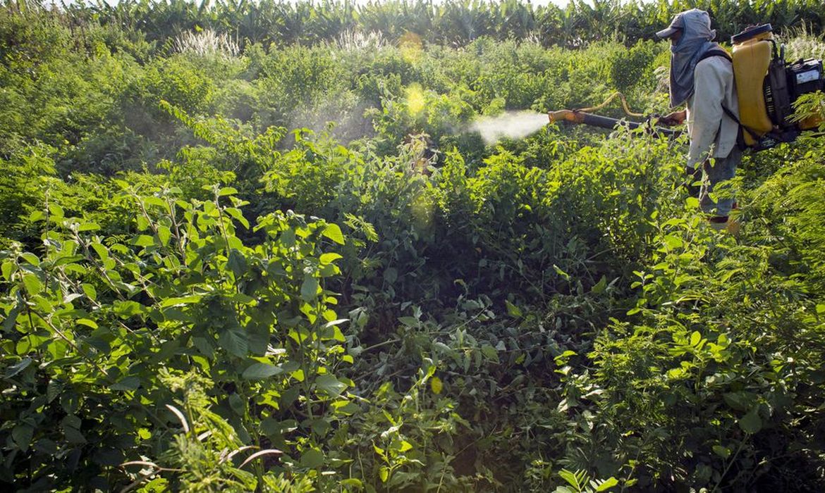 Trabalhador do campo usa pesticida e agrotóxico em plantação.
