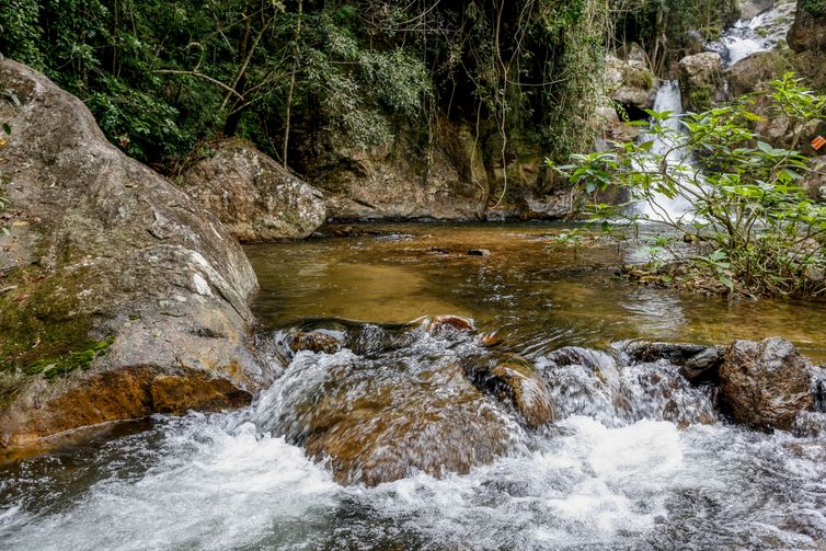Rafa Neddermeyer/Agência Brasil São Paulo-SP, Foto feita em 02/05/2013, O Parque Estadual do Rio Turvo (PERT) é um parque estadual de São Paulo criado em 21 de fevereiro de 2008 (16 anos) a partir do antigo Parque Estadual de Jacupiranga. Integra o Mosaico de Unidades de Conservação do Jacupiranga, sendo uma das maiores porções de Mata Atlântica do Brasil. .  Foto: Rafa Neddermeyer/Agência Brasil