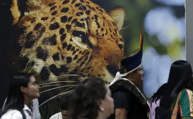 Belém (PA), 10/11/2025 - Pessoas na 30a. Conferência das Partes da Convenção-Quadro das Nações Unidas sobre a Mudança do Clima, na COP30. Foto: Bruno Peres/Agência Brasil