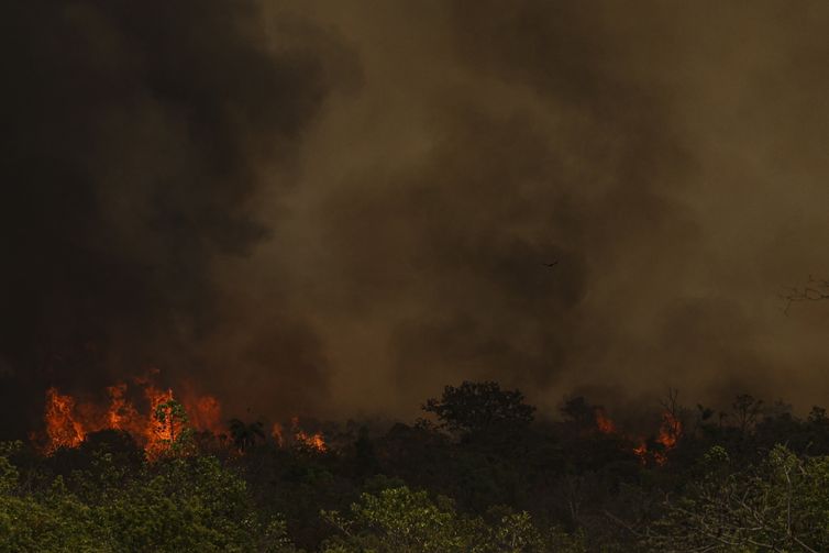 Brasília (DF), 16/09/2024 – Grandes incêndios atingem áreas do Parque Nacional de Brasília. Foto: Marcelo Camargo/Agência Brasil